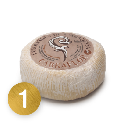 LS Newsletter formatges 06