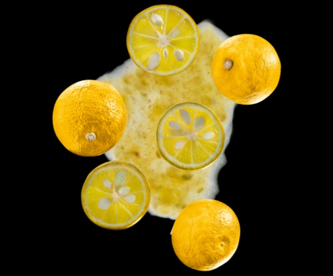 puré yuzu detall ponthier 