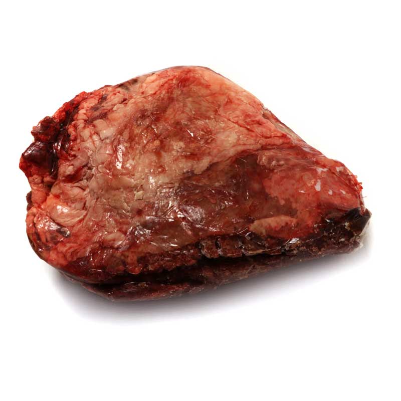 CI089_GaltaVedella_LaSelecta