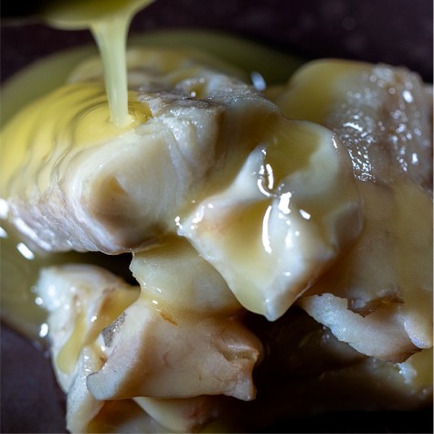 Carpier_Bacalao-06